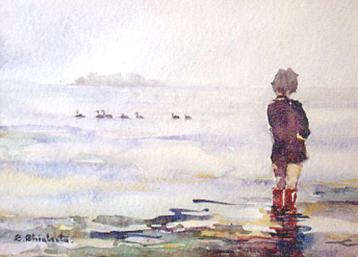 Photo Number 14