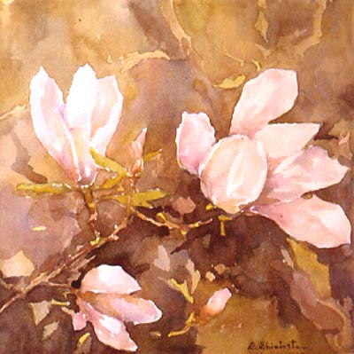 Photo Number 15