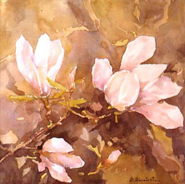 Photo Number 15